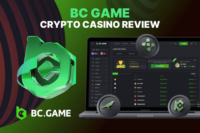 How to Download the BC A Complete Guide How to Download the BC A Complete Guide